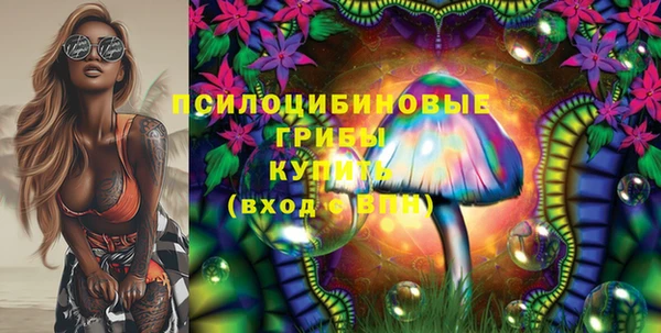 PSILOCYBIN Волоколамск