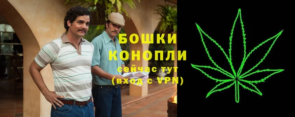 PSILOCYBIN Волоколамск