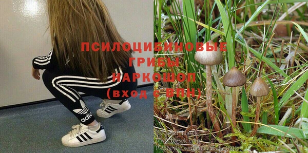 PSILOCYBIN Волоколамск