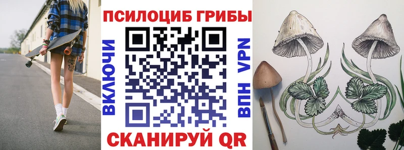 Псилоцибиновые грибы GOLDEN TEACHER  Любань 